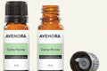 NEW: Camp REVIVE