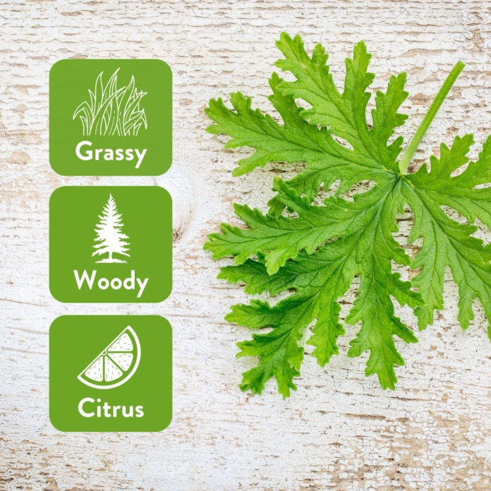 Citronella